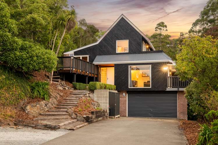 106 Soleares Avenue Mount Pleasant_2