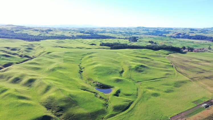 2029 Matapiro Road Crownthorpe_33