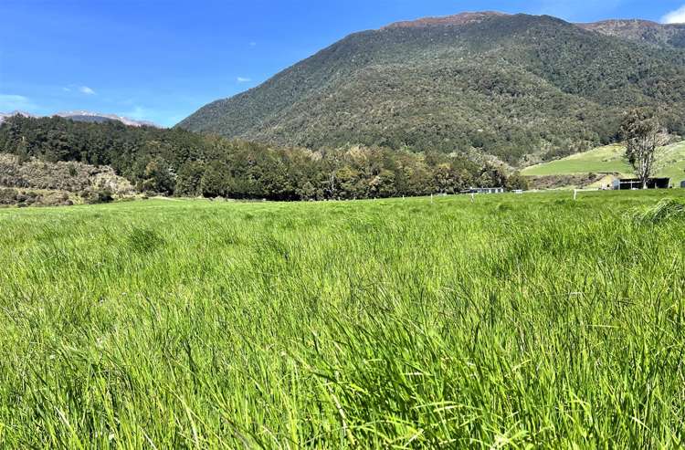 848 Palmer Road Springs Junction_22