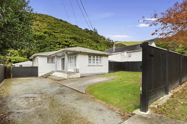 Sunny Grove Surprise-Size and Potential