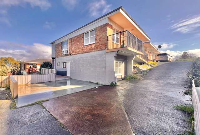 3/16b Penney Avenue Mount Roskill_4