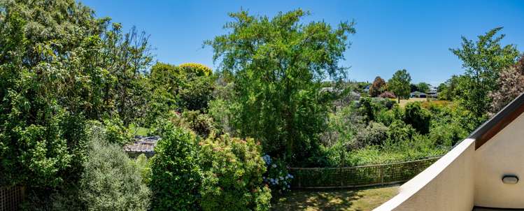 2 Antrim Place Rangatira Park_8