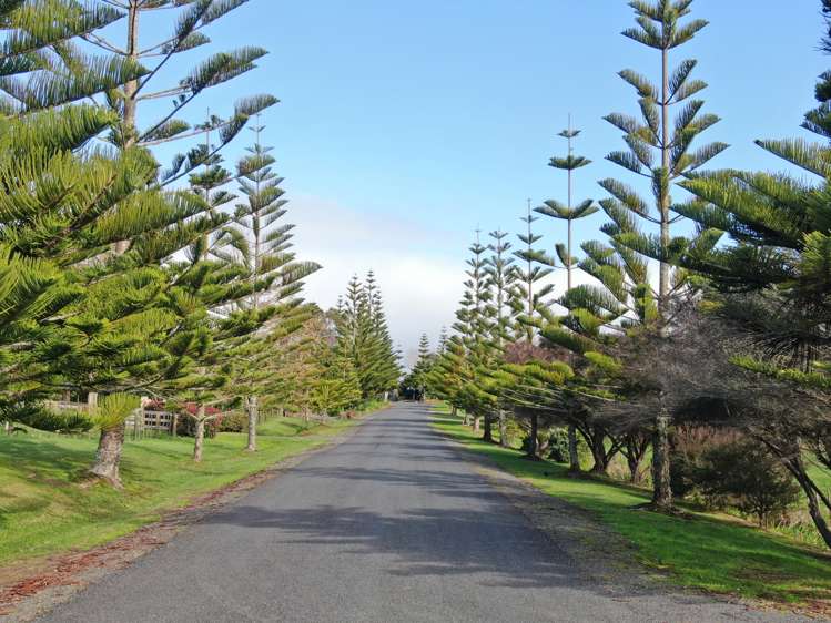 141 Lennon Access Road Stillwater_2