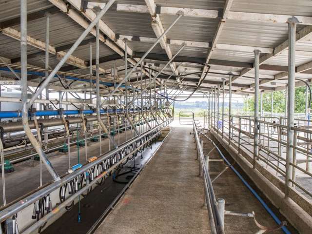 245 Opanake Road Dargaville Surrounds_3