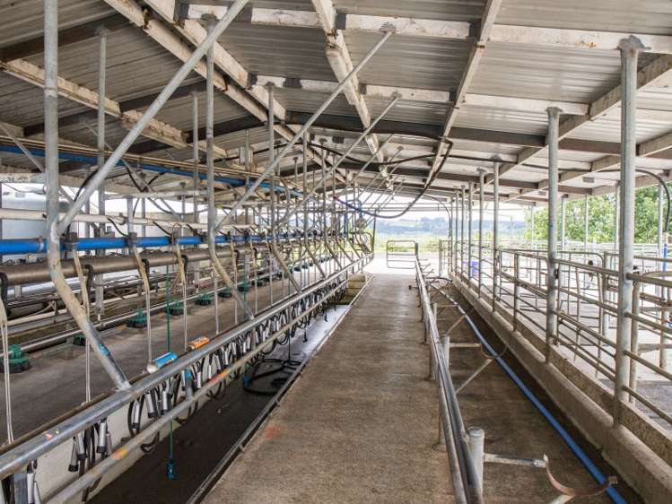 245 Opanake Road Dargaville Surrounds_3