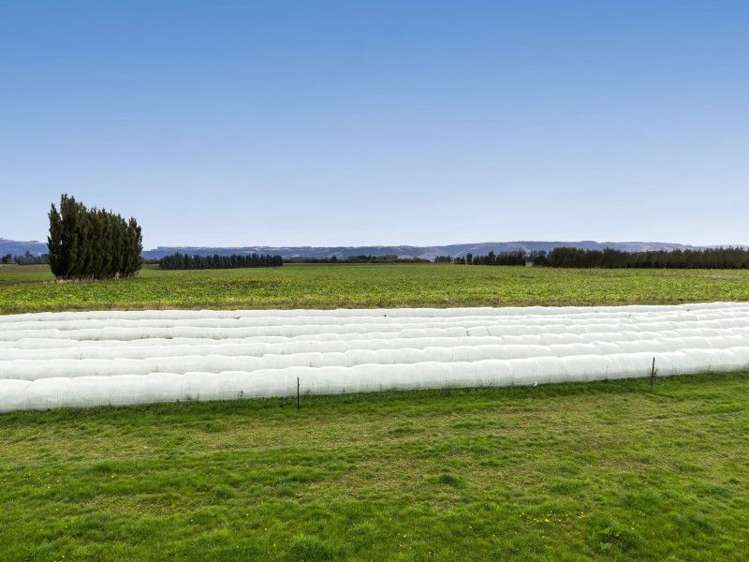 17 Bardsey Street Mosgiel_11