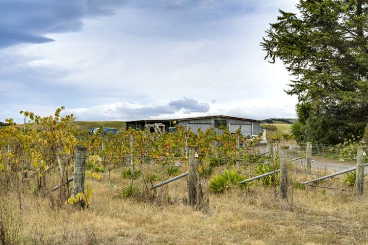 75 Mere Road Fernhill_7