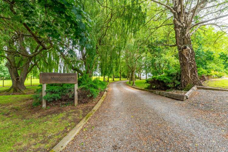 32 Harrison Road Winchester_4