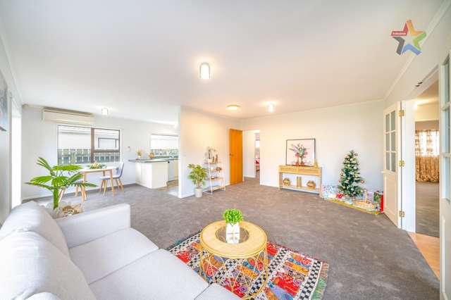 48b Britannia Street Petone_1