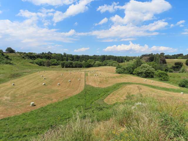 85 Barraud Street Dannevirke_2