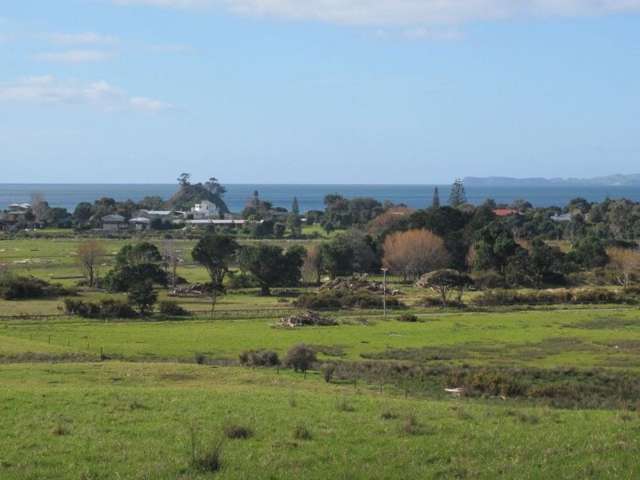 151e Te Punga Road Whangapoua_4