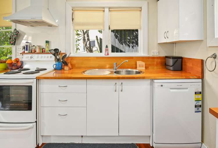 18 Arrow Street Washington Valley_3