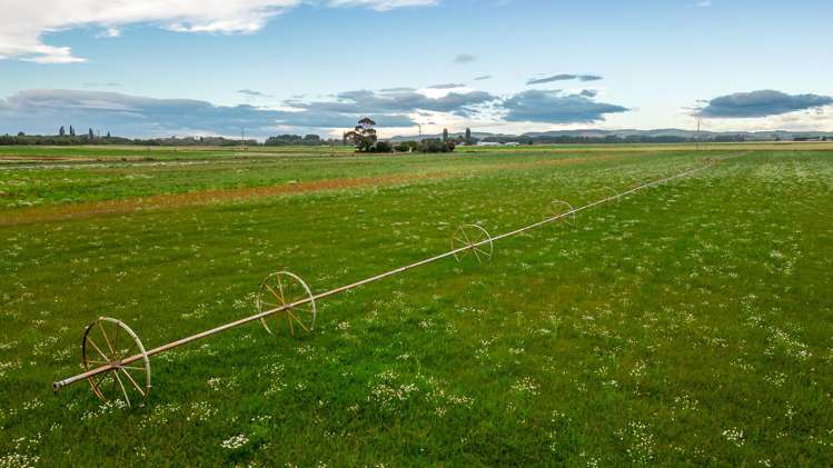 Bradshaws Road Waimate_5