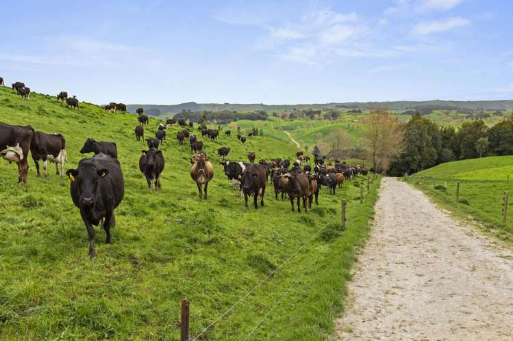 386 Troopers Road Te Kuiti_16