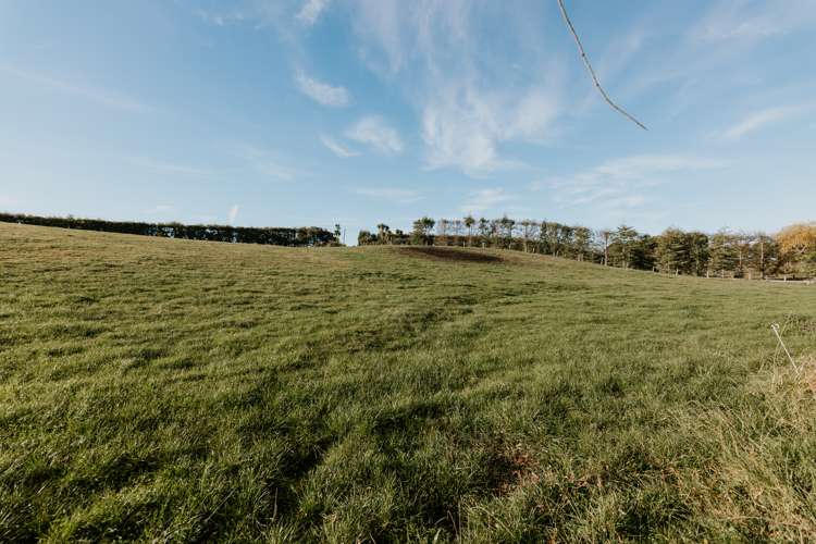 283 Parsons Road Weston_21