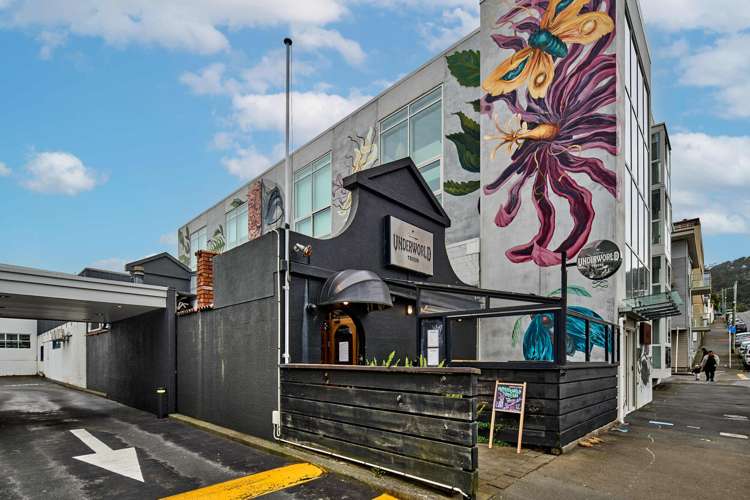 13 Pirie Street Mt Victoria_8