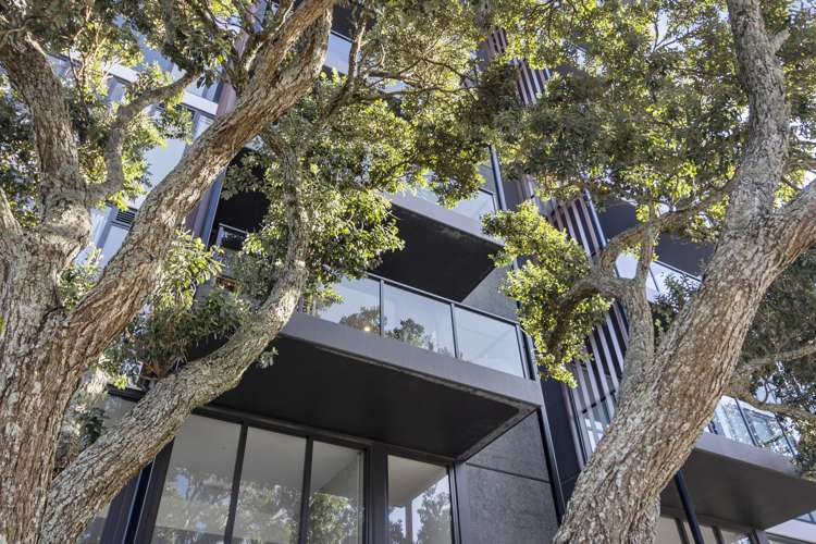 202/10 Auburn Street Takapuna_2