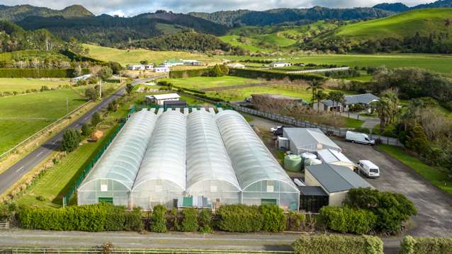 52 Parakiwai Quarry Road Whangamata_3