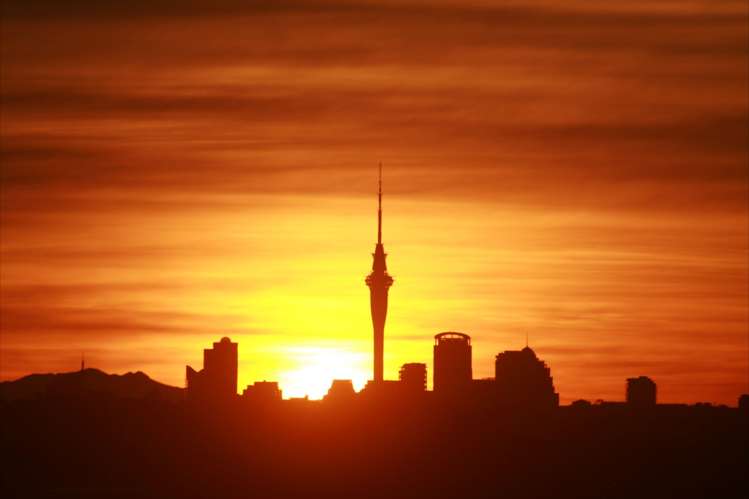 21 Darlington Place Glendene_9