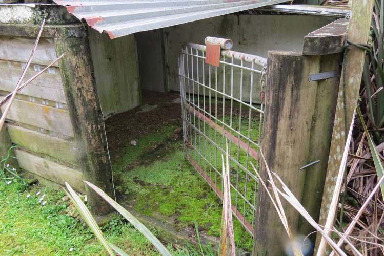 494 Waitekauri Road Waikino_8