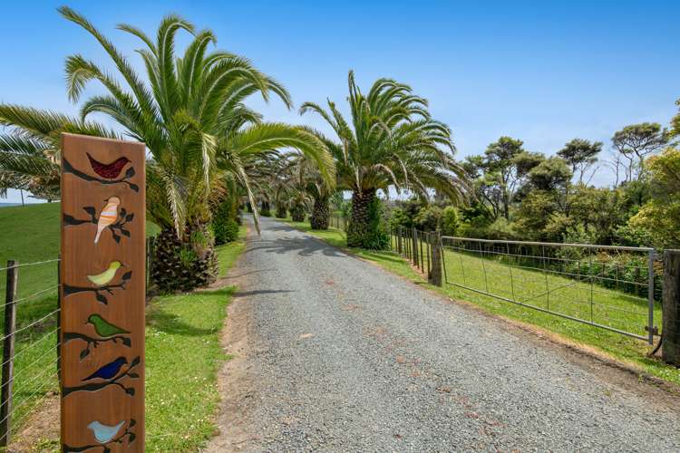 85 Jordan Road Kaukapakapa_44