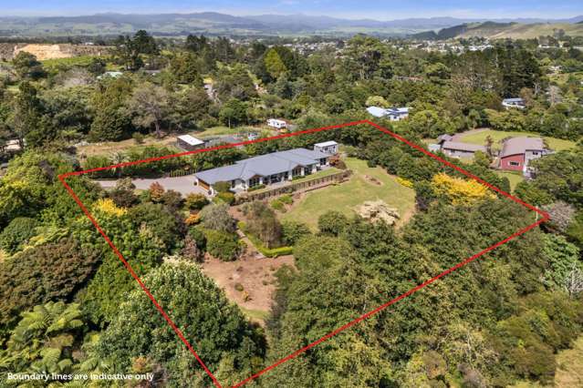 Space, Scale & Statement Living