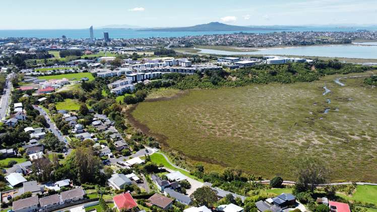 71 College Road Northcote_5