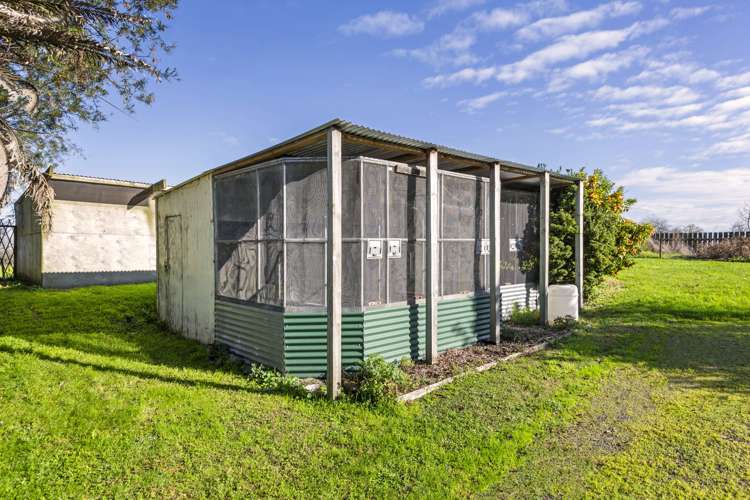 116 Lyon Street Kihikihi_25