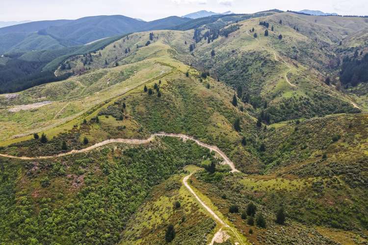 Mcintosh Road Geraldine_15