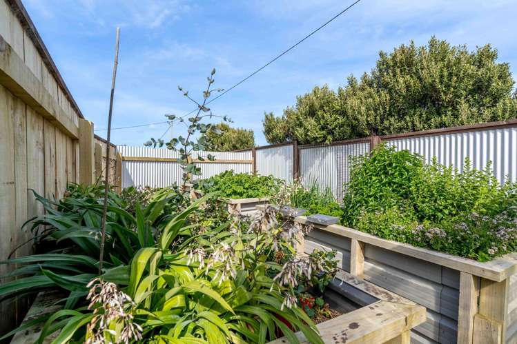 1 Surrey Street Orepuki_10