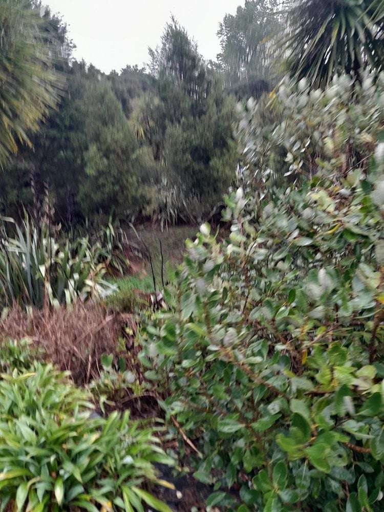 46 Sherrybrooke Place Sunnyvale_13