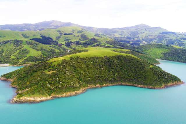 417 Wainui Main Road Wainui_2