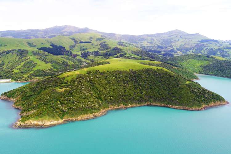 417 Wainui Main Road Wainui_2