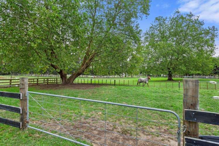 248A Tauwhare Road Tamahere_32