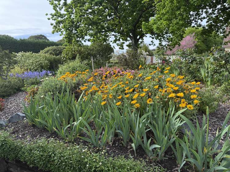 144 Loop Line Masterton_17