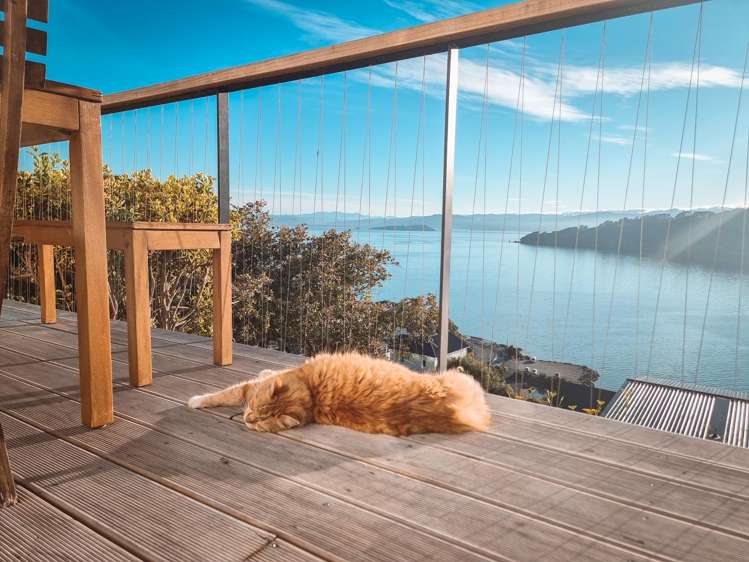 63 Grafton Road Roseneath_1