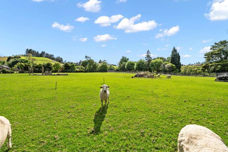 41 Sands Road Glenbervie_21