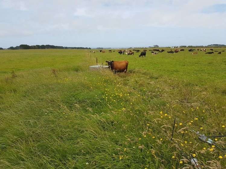 349 Ihaia Road Opunake_5