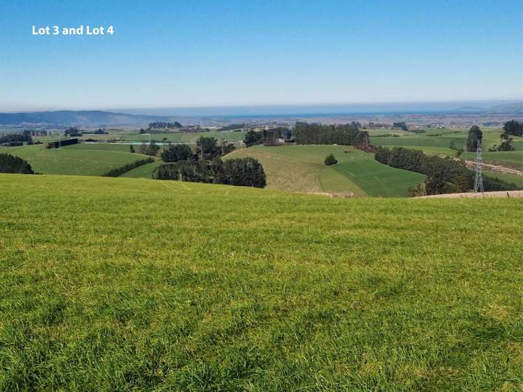 Cameron Road, Hillend Balclutha_14