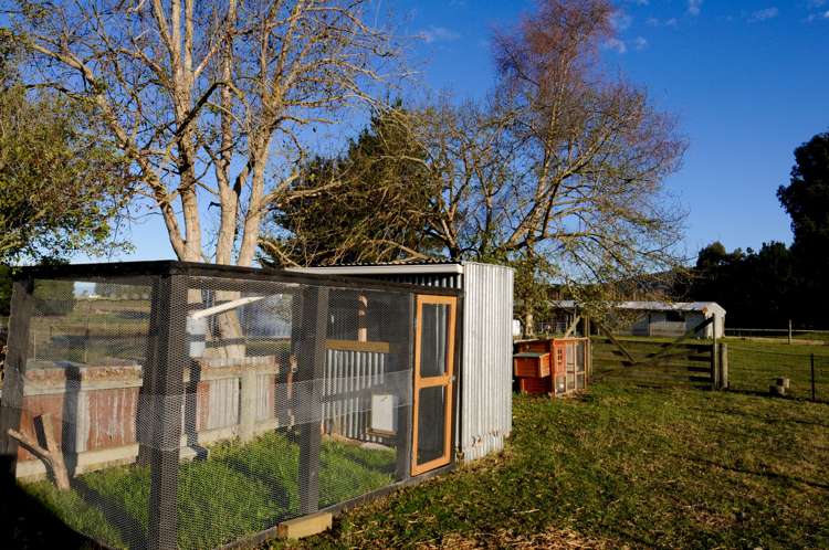 64 Waihao Back Road Waimate_16