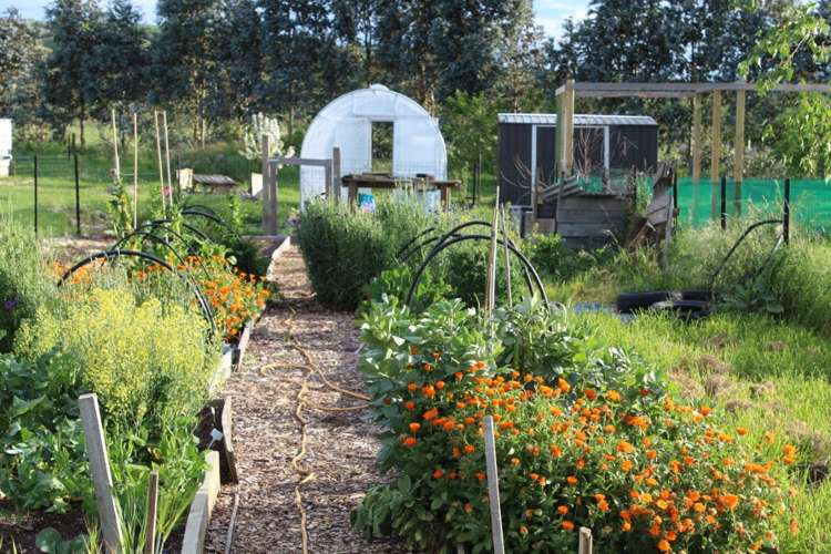 460 Gladstone Road Gladstone_12