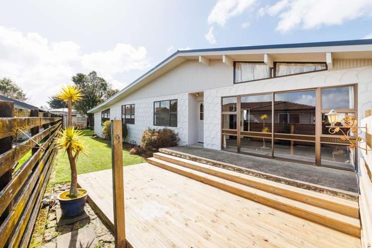 33 Wills Crescent Ashhurst_1