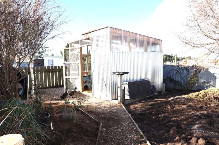 7 Stafford Street Ranfurly_18