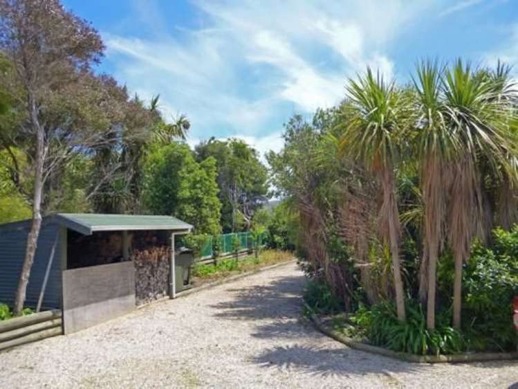 8 Freeman Access Kahurangi National Park_15