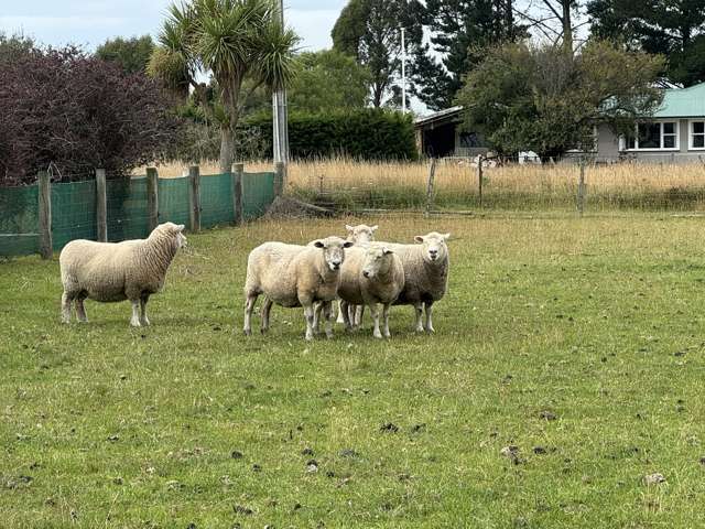 16 Buckley Street Waimate_1