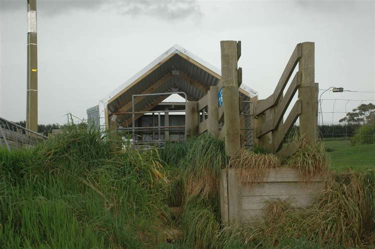 21 Grayden Road Morrinsville_7