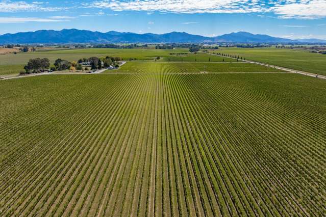 Iconic Marlborough Vineyard Portfolio