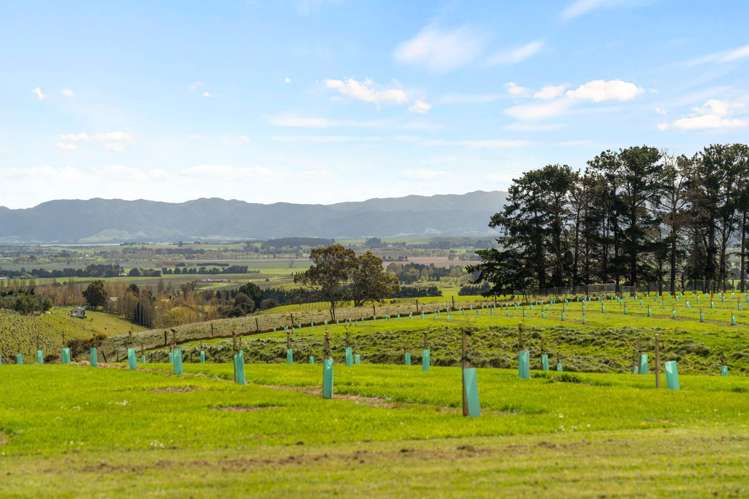 121 Southdown Drive Martinborough_26