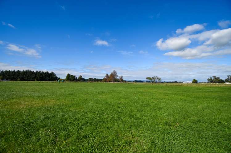 168a Nannestads Line Bunnythorpe_15