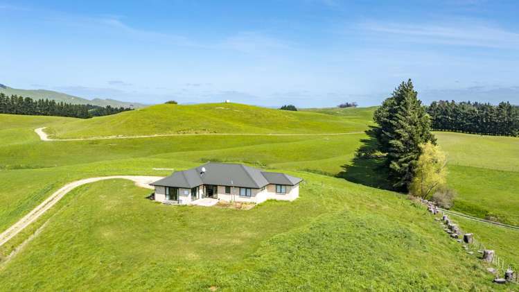 236 Tower Street Ormondville_23